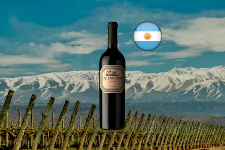 El Enemigo Bonarda 2022 - Thumbnail